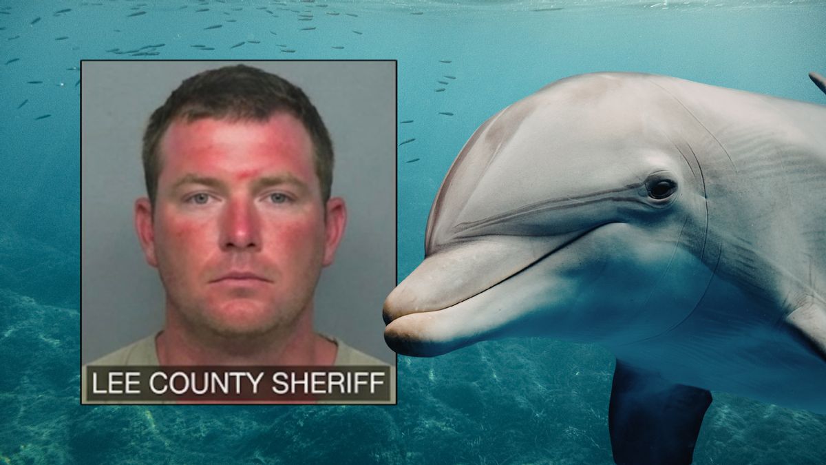 Was Florida man kidnapped by dolphins? We dived into rumor