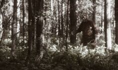 Bigfoot mystery after ‘eight sightings of huge creature in Ohio in five days’