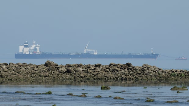 U.S. moves to exempt Russian oil from sanctions for at least 30 days