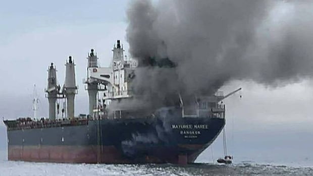 ‘Cascading effects’ of Strait of Hormuz blockage getting worse by the day, energy and trade experts say