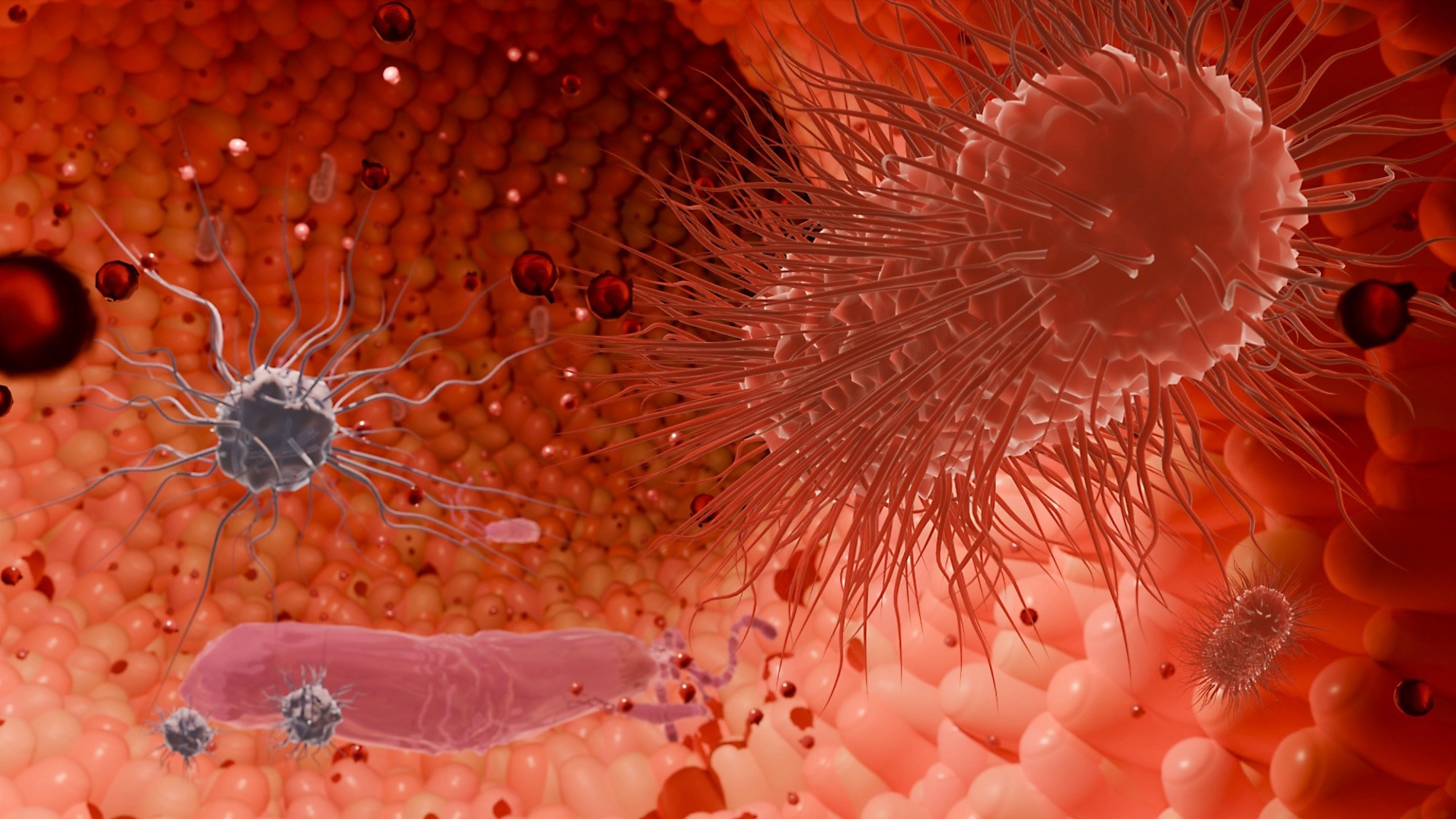 Why do some people respond better to GLP-1 drugs? Gut microbiome may hold clues