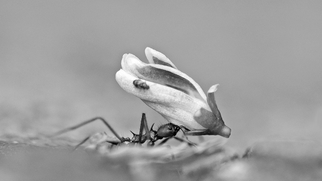 German biotech Kupando raises €10M more to take its innate immunity drug into the clinic