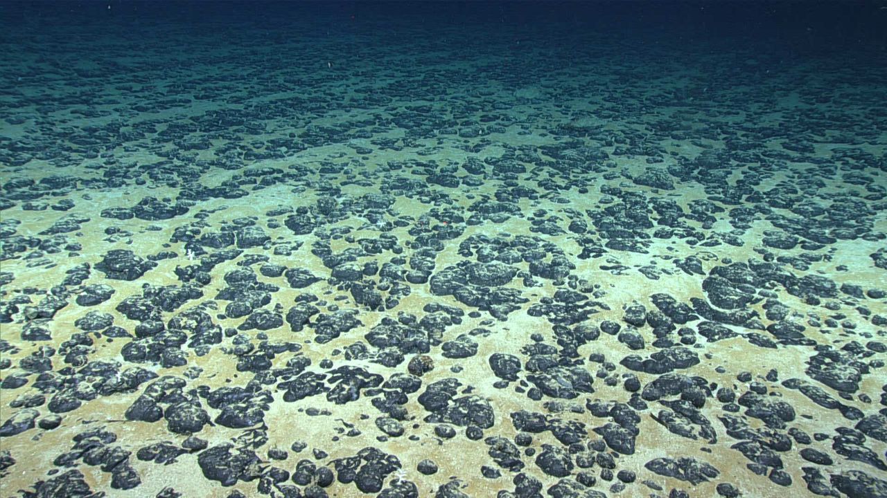 ‘Dark oxygen’ discovery on the seafloor is ‘fundamentally at odds with thermodynamics’ and should be retracted, experts say