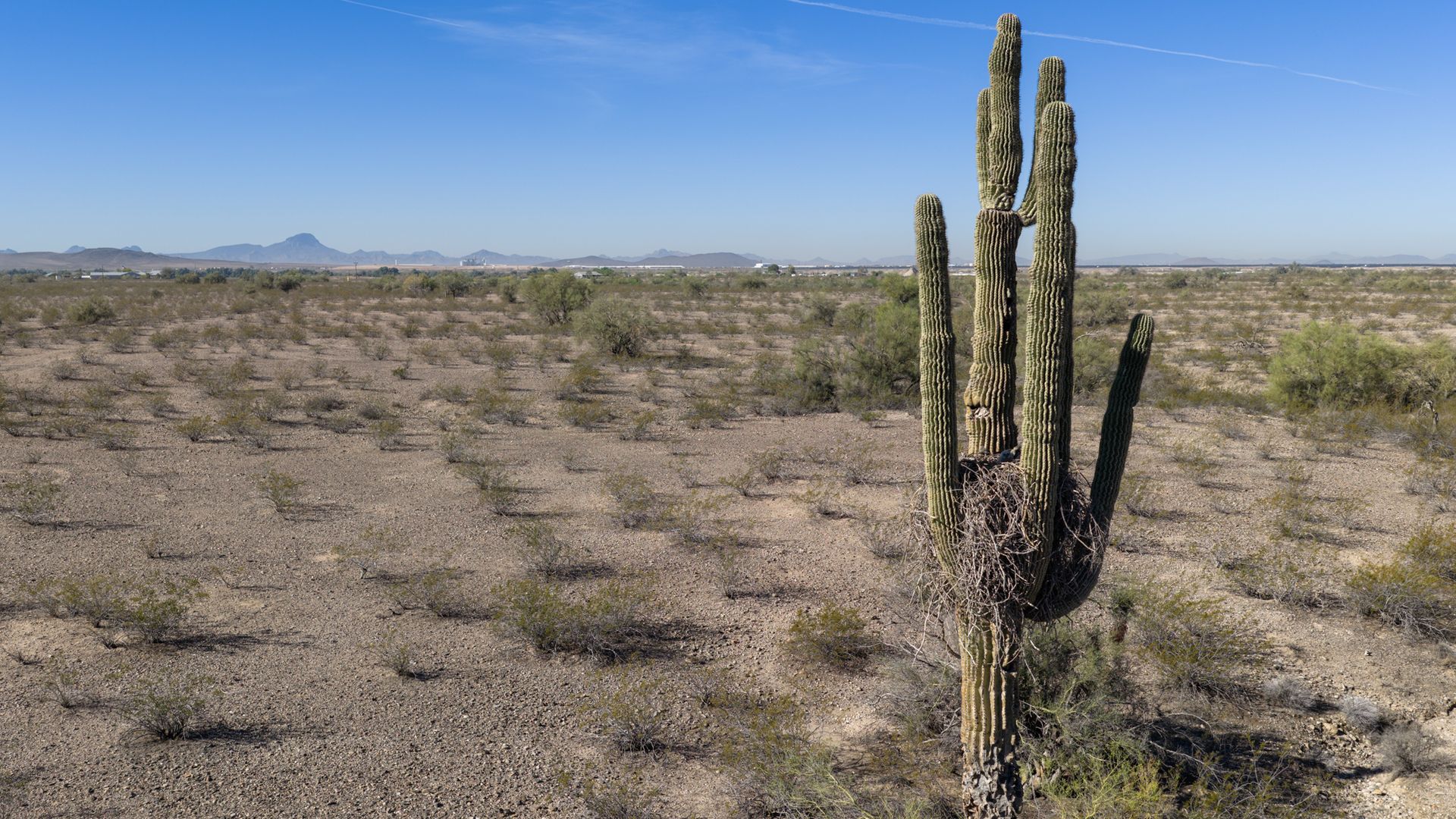US suffers hottest March day ever recorded as heat dome drives up temperatures