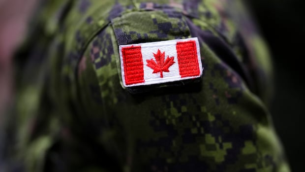 Canadian Armed Forces members among troops NATO pulled out of Iraq