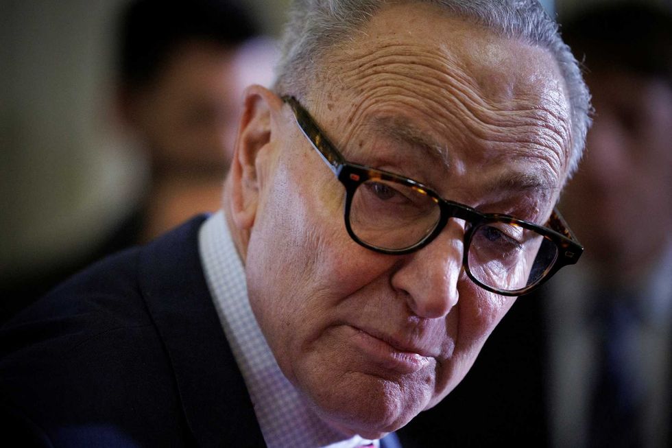 Dems quietly weighing move to oust Schumer as frustrations boil: report
