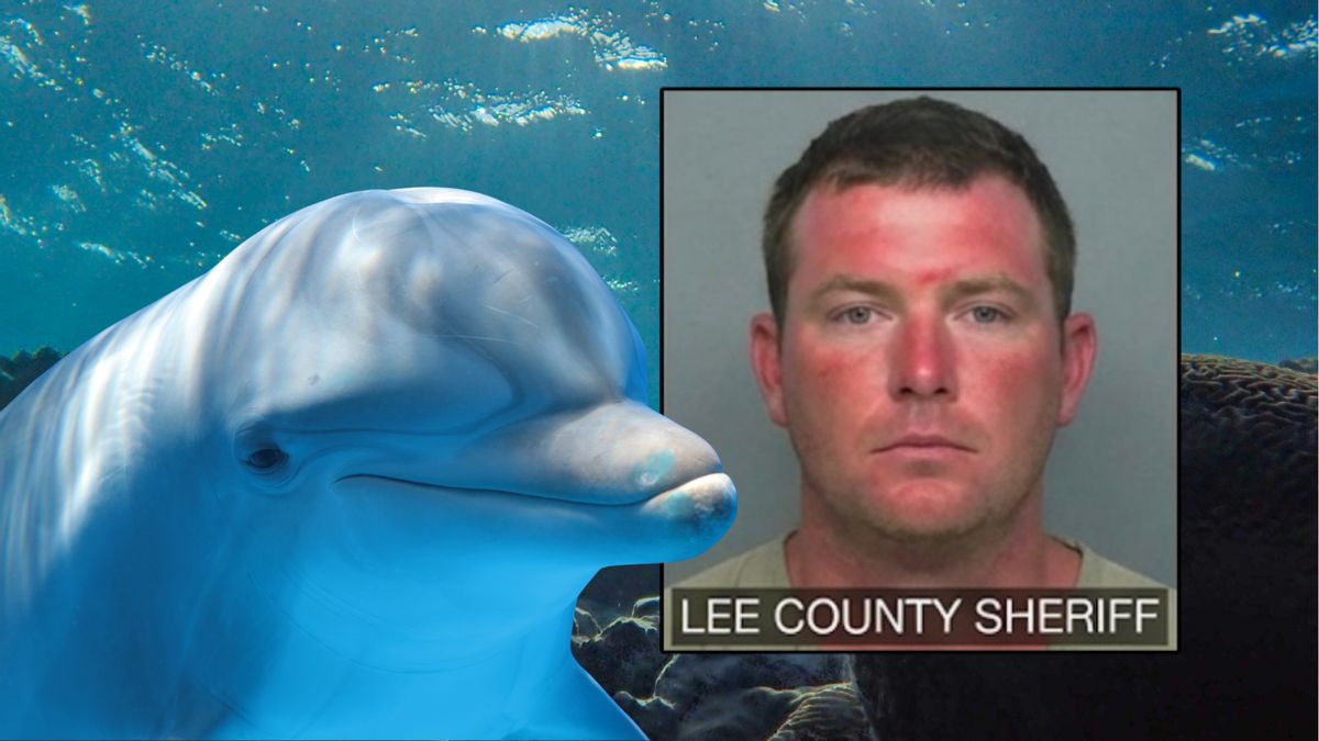 Rumor that Florida man was kidnapped by dolphins is all wet