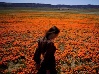 Welcome to allergy season. Here’s how to protect yourself