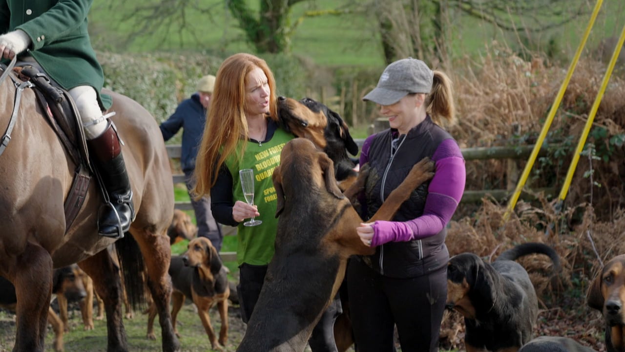 Enjoy fleeing bloodhounds? England has the sport for you