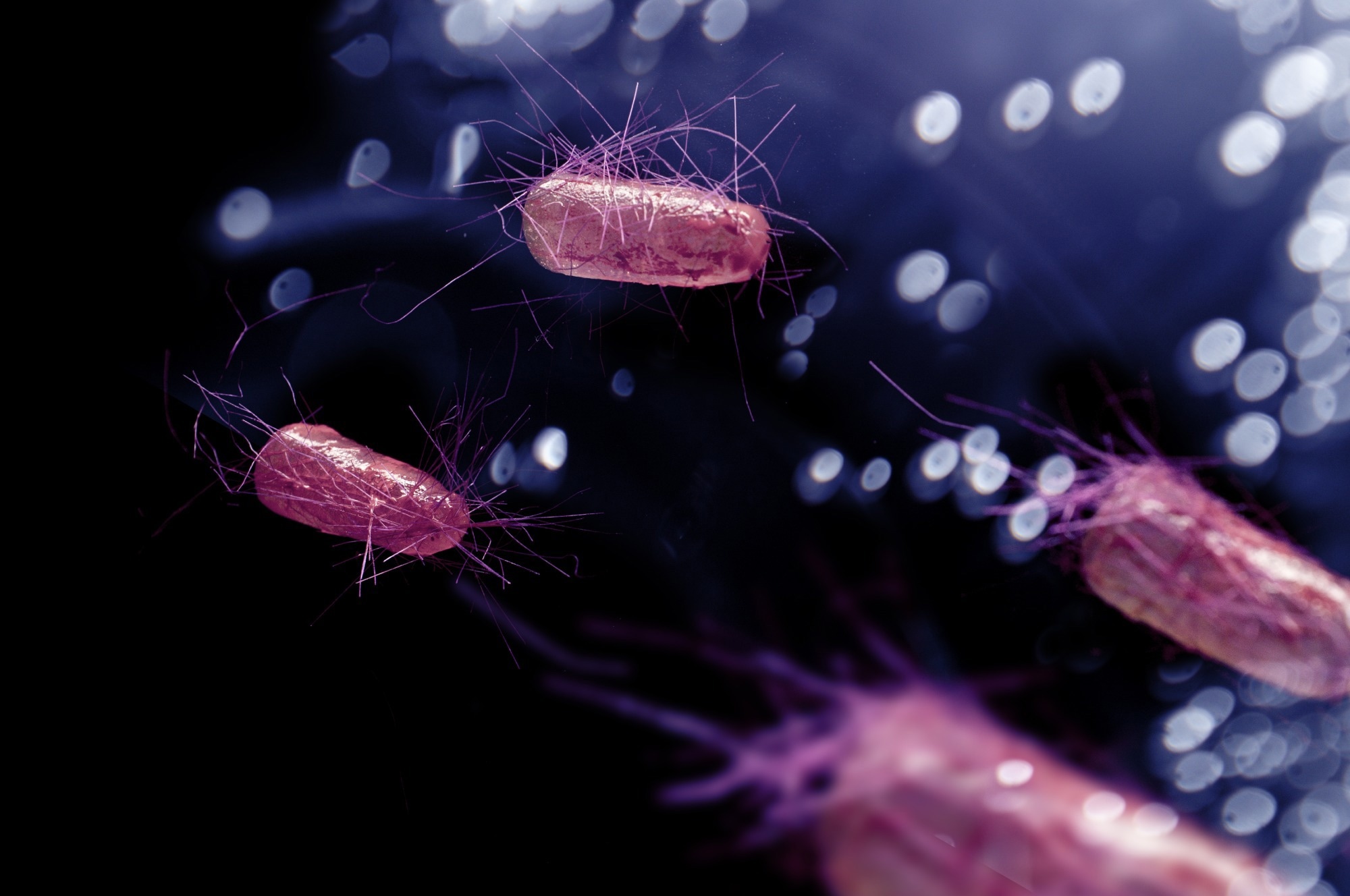 Study links higher enteric disease risk to E. coli in high-risk water supplies