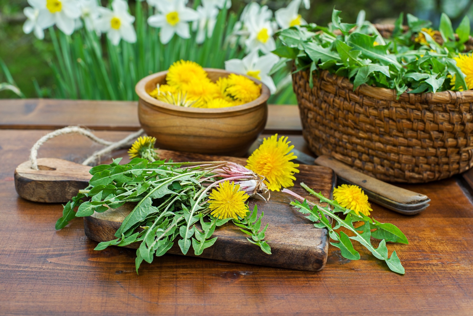 Dandelion leaves boost brain-protective compounds after digestion