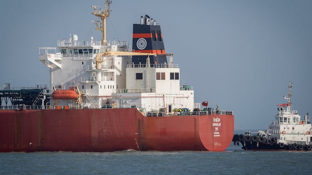 How some ships are still getting through the Strait of Hormuz as Iran war drags on