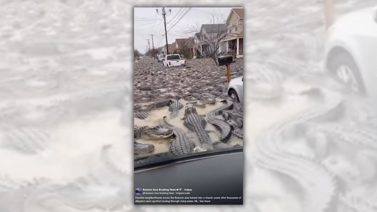 Say ‘see ya later, alligator’ to Facebook post of gators flooding Missouri town’s streets