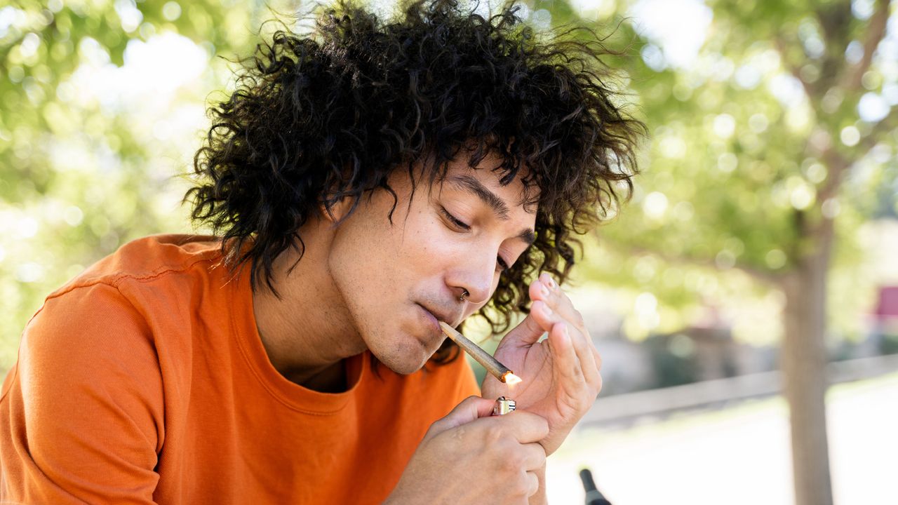 Why does cannabis give people ‘the munchies’?