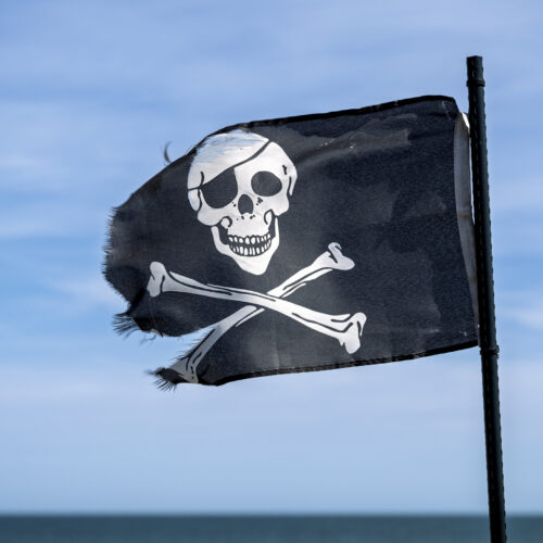 Authors’ lucky break in court may help class action over Meta torrenting