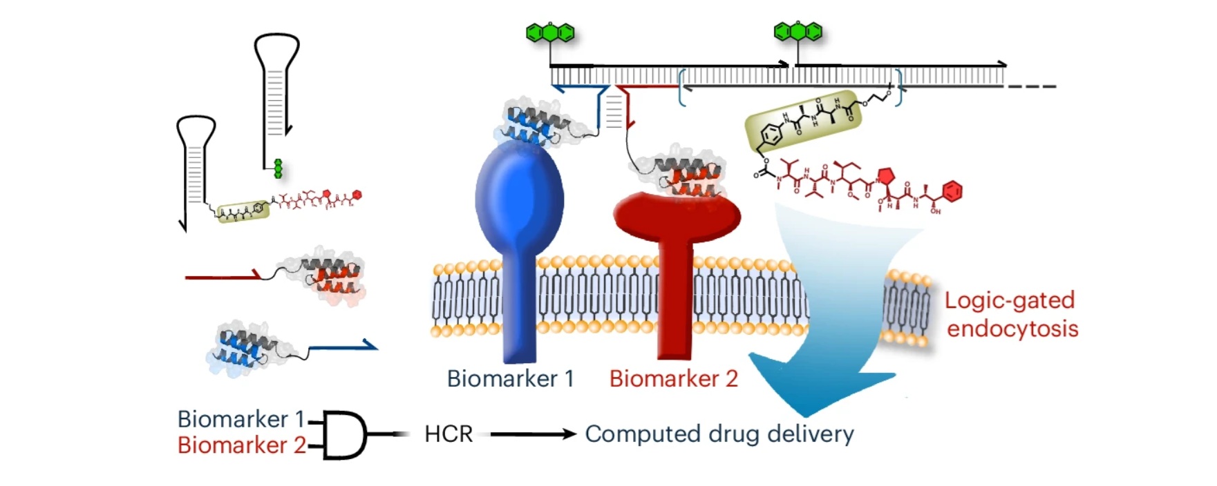 Smart Drugs Are Here