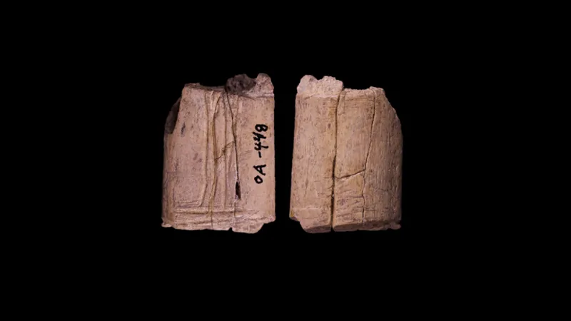 The oldest known dice date back about 12,000 years in North America