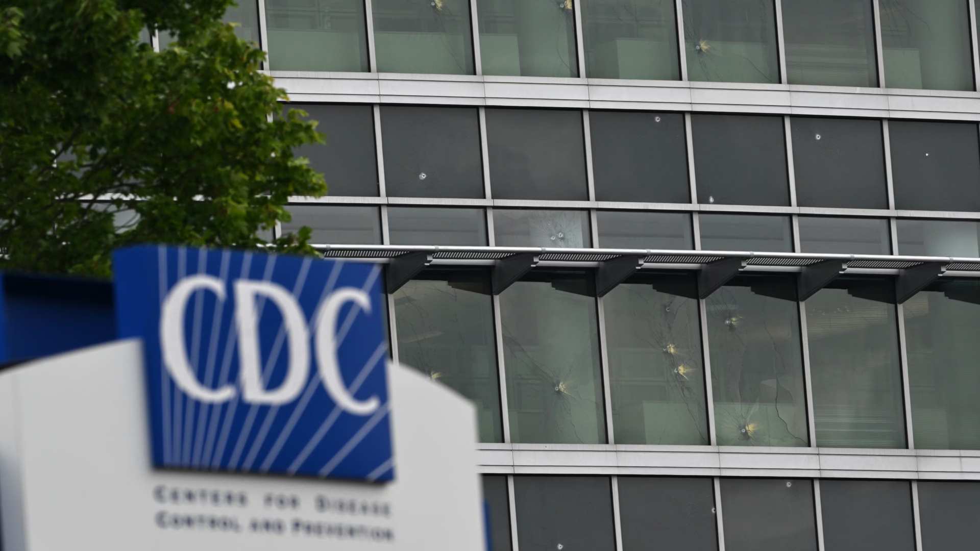 Dr. Jay Bhattacharya, Who Claims He “Would Have” Perfectly Controlled COVID In 2020, Can’t Even Fix A Few Broken Windows Today