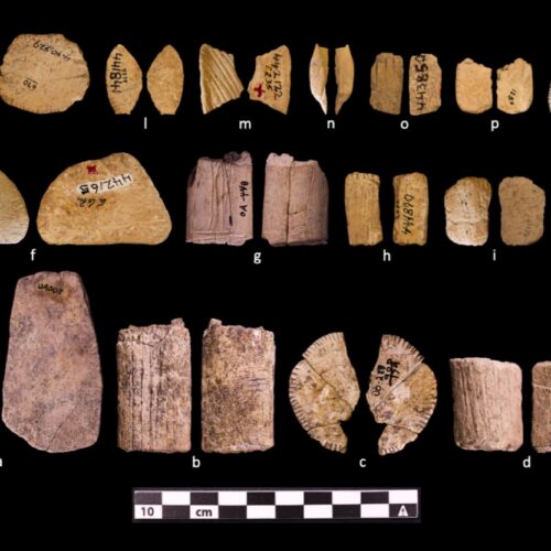 Ice Age dice show early Native Americans may have understood probability