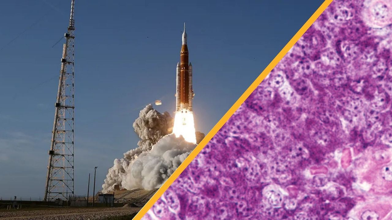 Science news this week: Artemis II lifts off, diabetes cured in mice, and smog in China shapes Arctic storms