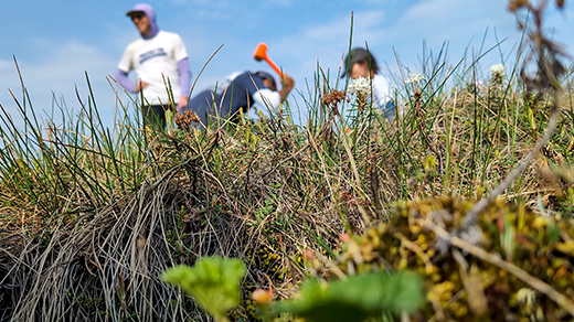 An Arctic Road Trip Brings Vital Underground Networks into View