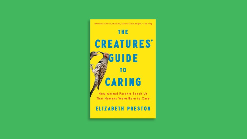 A new book finds parenting inspiration in the animal kingdom