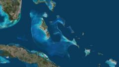 Bahamas police search for US woman who reportedly fell off boat