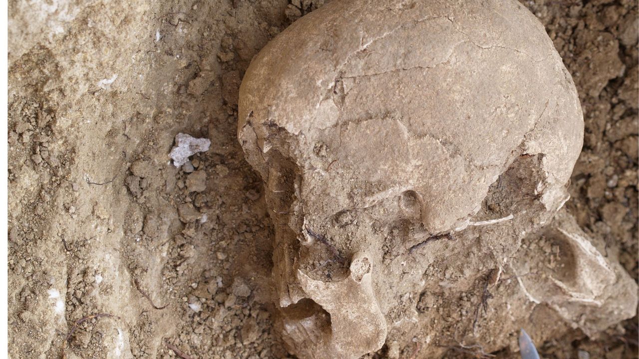 DNA reveals ancestry of man buried in Stone Age monument in Spain, but his religion remains a mystery