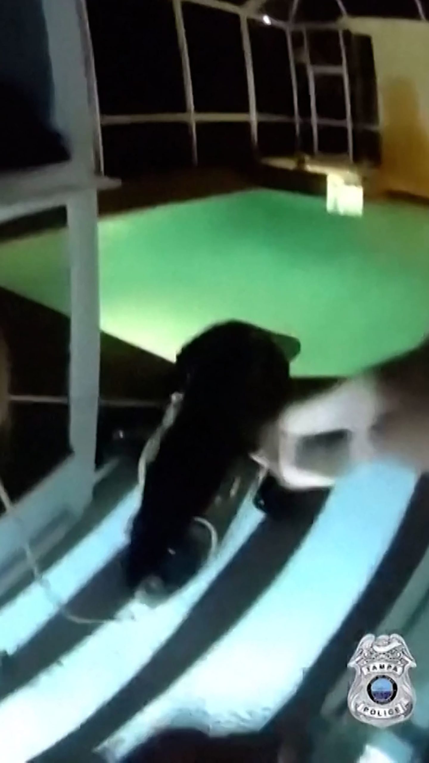 Officer pulls alligator from pool in Florida
