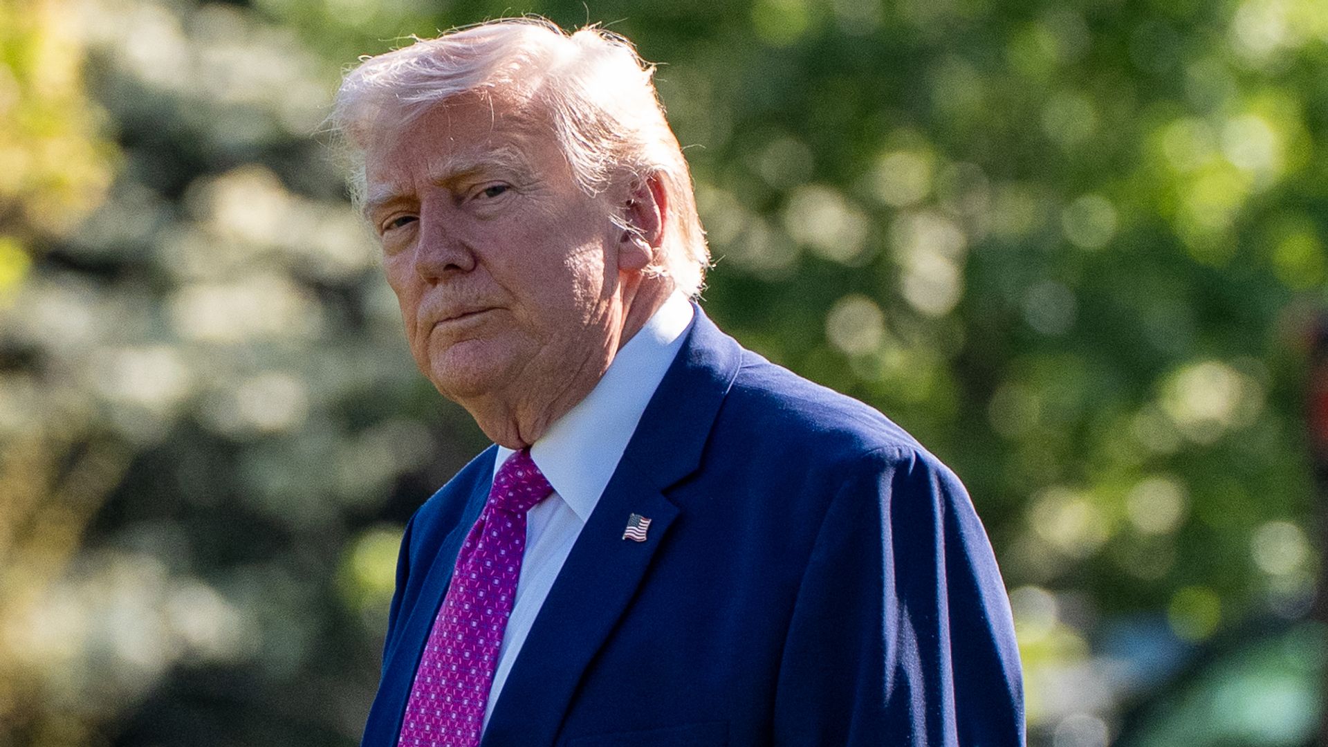 Trump’s NATO comments ‘not wise’, says Dutch armed forces chief