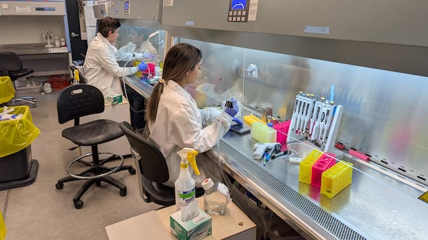 Other countries are looking to end animal testing. In Canada, there’s a holdup