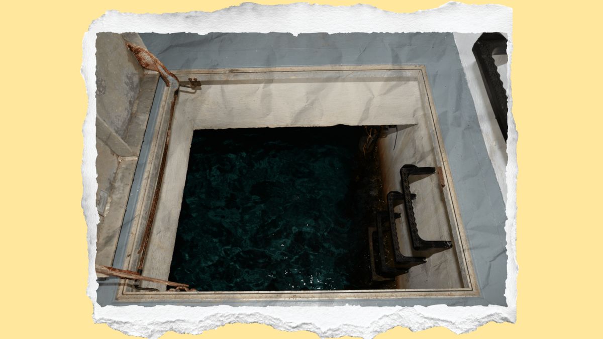 Open trapdoor in Epstein files is likely more mundane than posts suggest