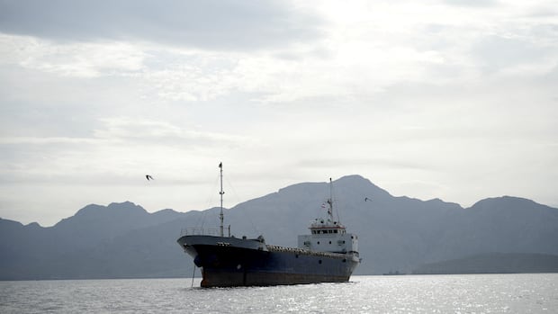 How will the U.S. blockade of Iranian ports work, and what will it achieve?