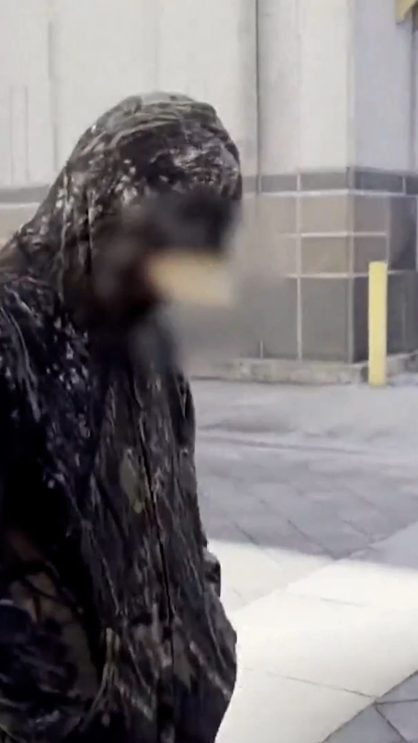 Teen charged with murder in stepsister’s cruise ship death