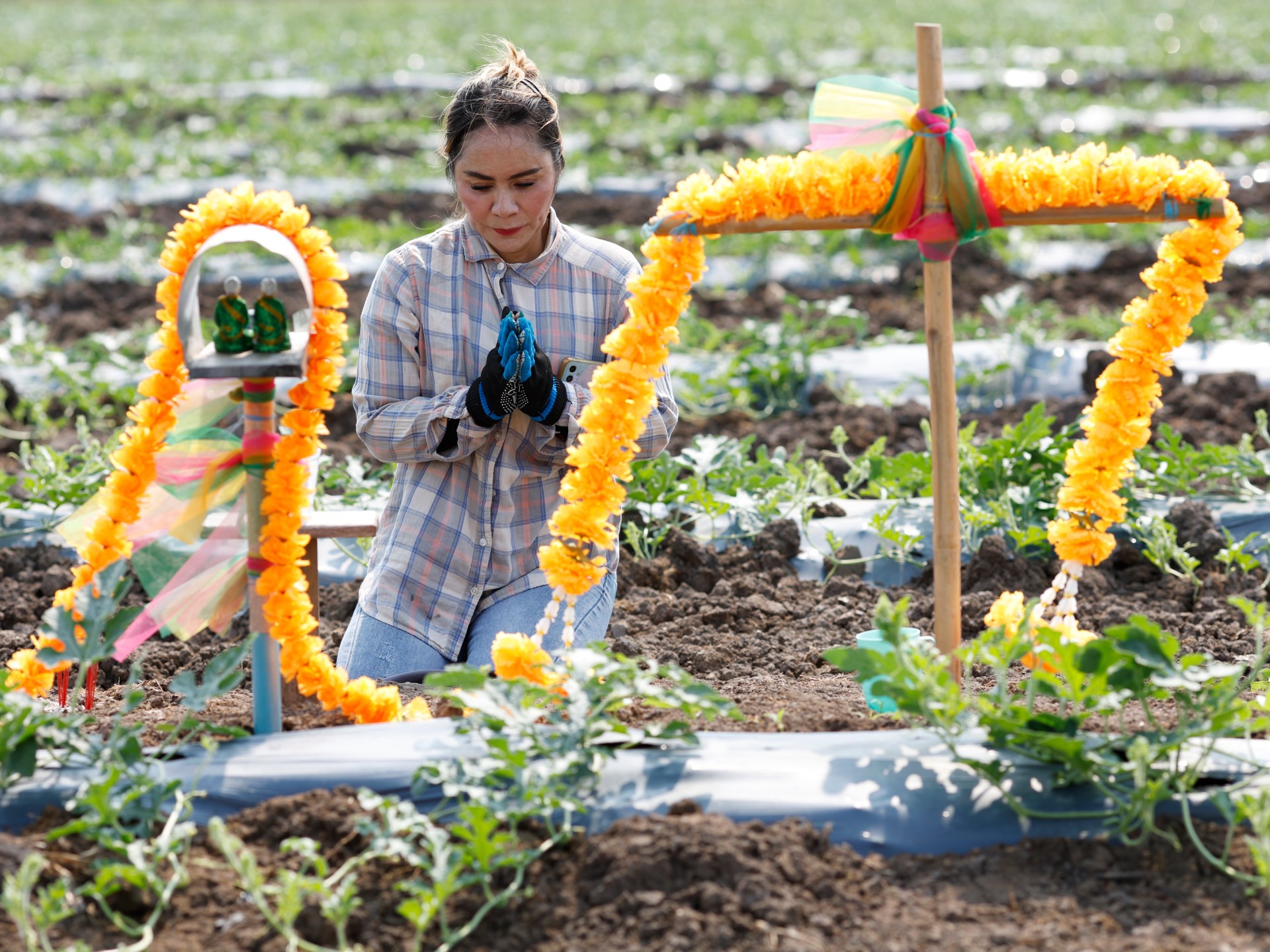 World faces food ‘catastrophe’ if Strait of Hormuz disruption persists: FAO