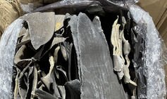 Officials seize 50,000 shark fins disguised as car parts at U.S. ports