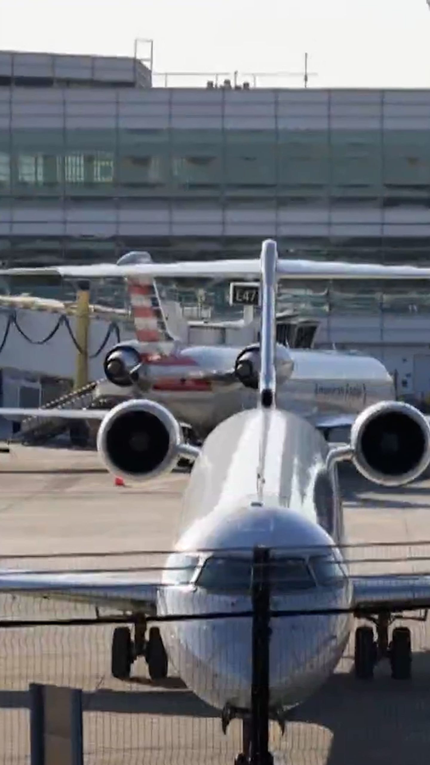 FAA investigating pilots who made animal noises on radio