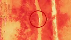 Moment wolf on the run in South Korea is found