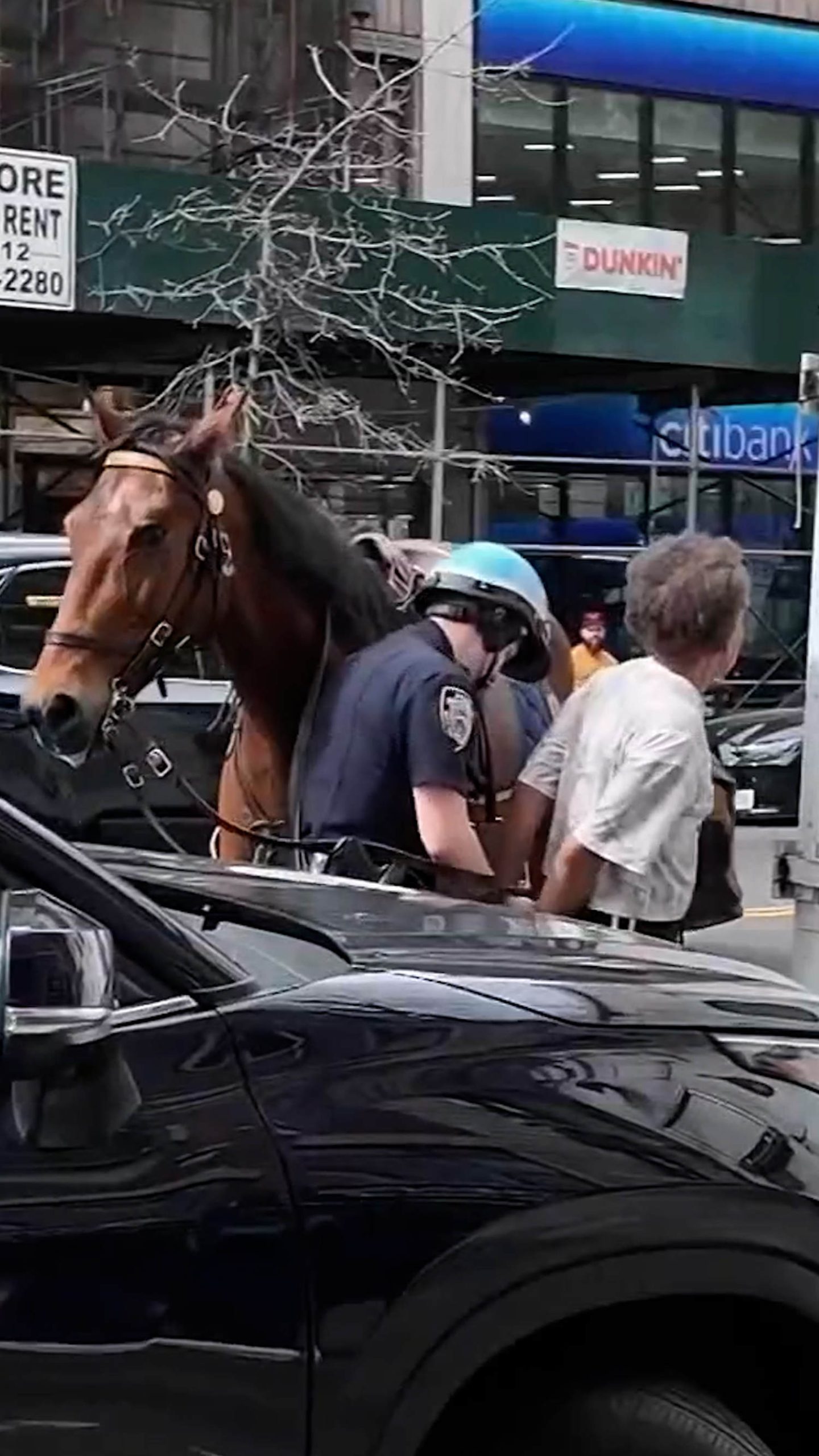 Police officer on horseback chases purse thief in New York