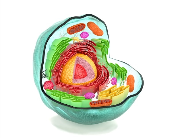 Stem cell model identifies promising therapy for inflammatory bowel disease