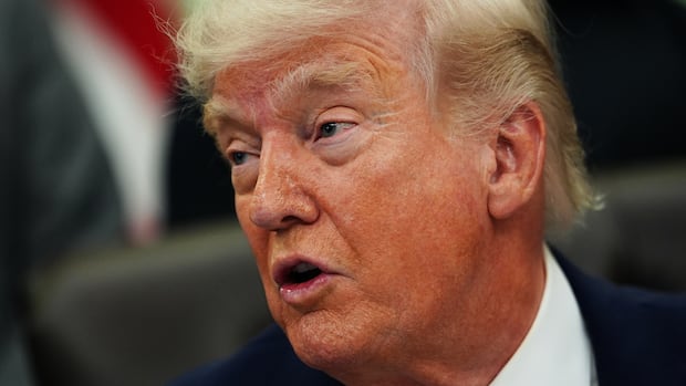 Trump says U.S. has seized Iranian-flagged cargo ship near Strait of Hormuz