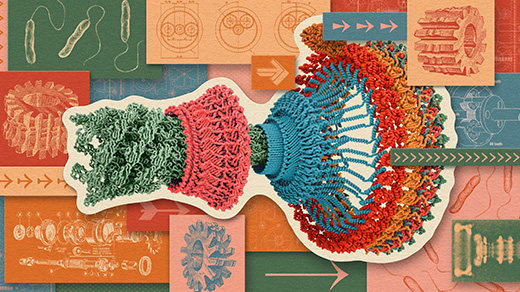 What Physical ‘Life Force’ Turns Biology’s Wheels?