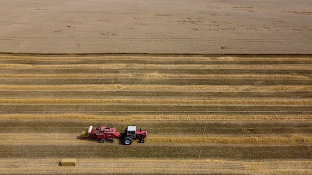 Is a global food crisis looming?