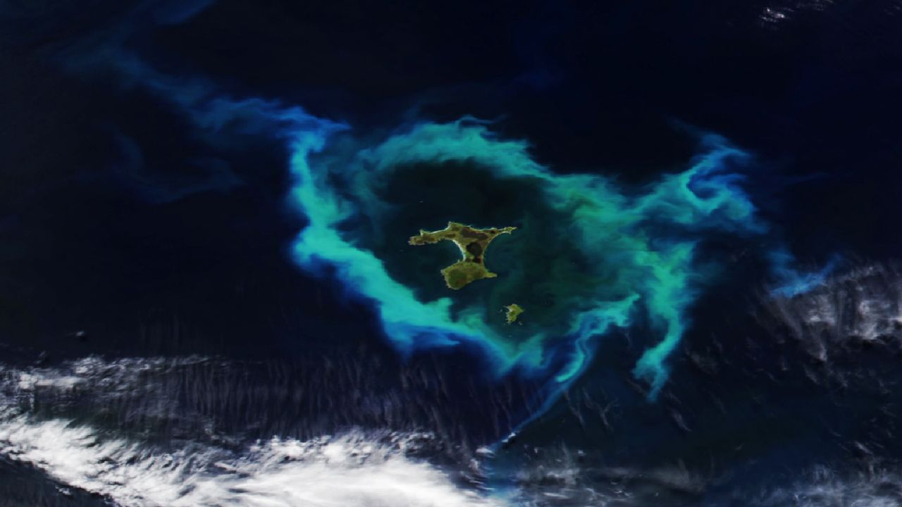 Glowing ring of plankton surrounding New Zealand islands linked to deadly underwater plateau — Earth from space