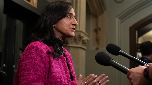 Ottawa has asked Israel to investigate Canadian’s killing in Lebanon: Anand