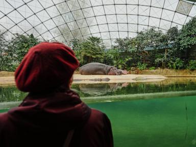 A specialized tour at the Berlin Zoo brings joy to people living with dementia