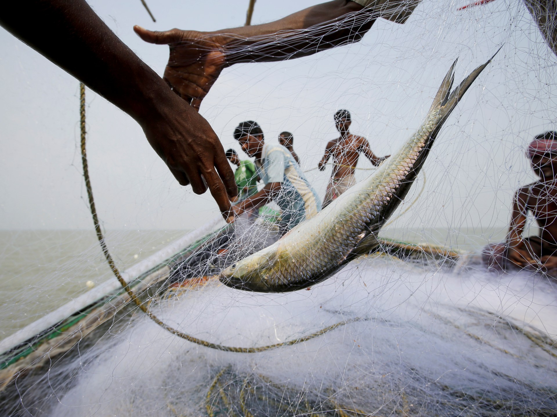 Can fish hook voters in India’s West Bengal elections?