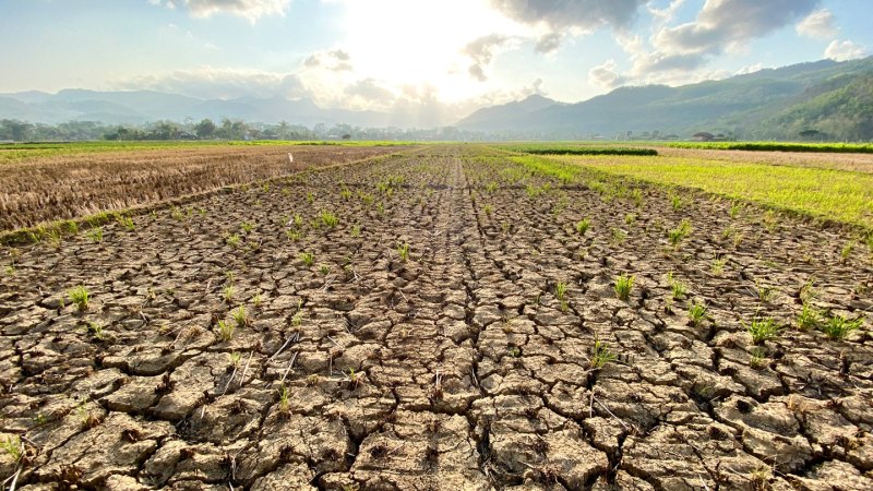 How climate change may increase antibiotic resistance