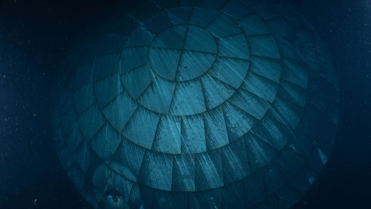 Artemis II heat shield aced its blistering reentry, ghostly underwater photo reveals