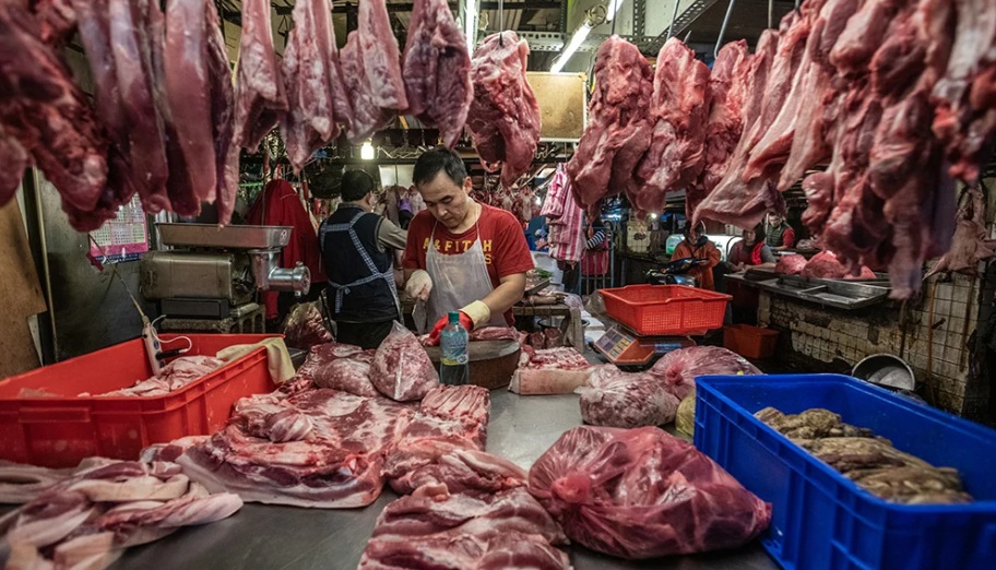 Zoonotic Spillover Is A Problem